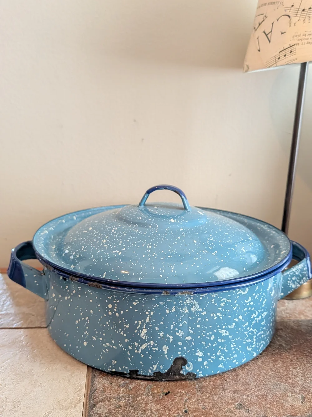 Blue Speckled Enamel Dutch Oven with Lid - Home Kitchen Decor Vintage